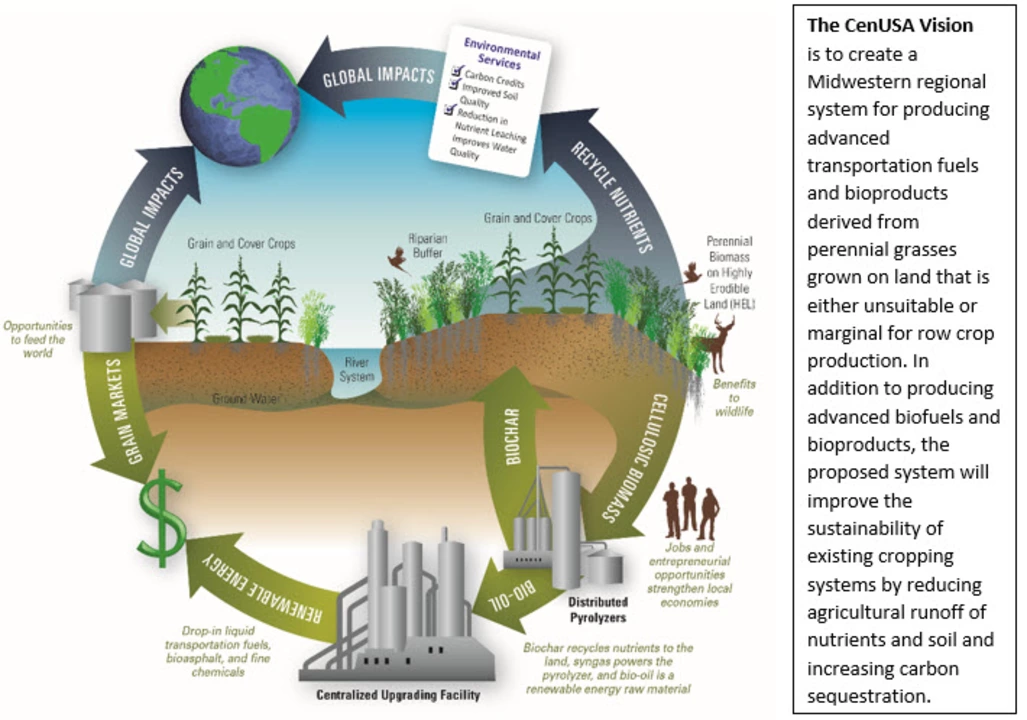 The Environmental Impact of Amoxicillin Production and Disposal