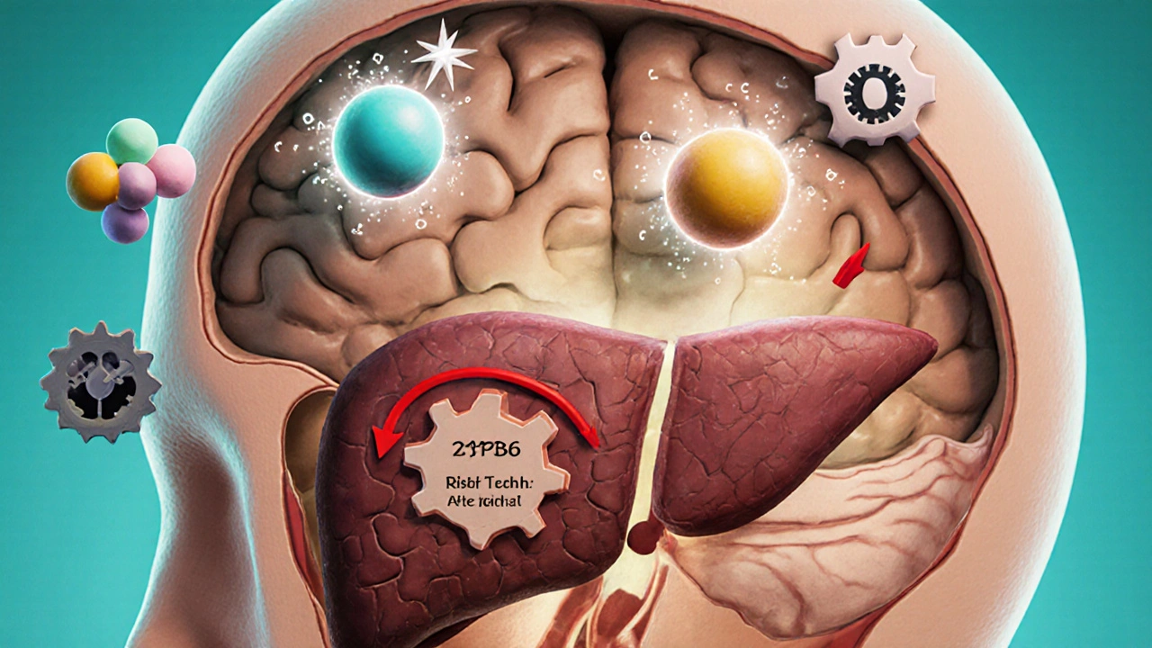 Clay cross-section of brain and liver showing neurotransmitters and seizure spark.